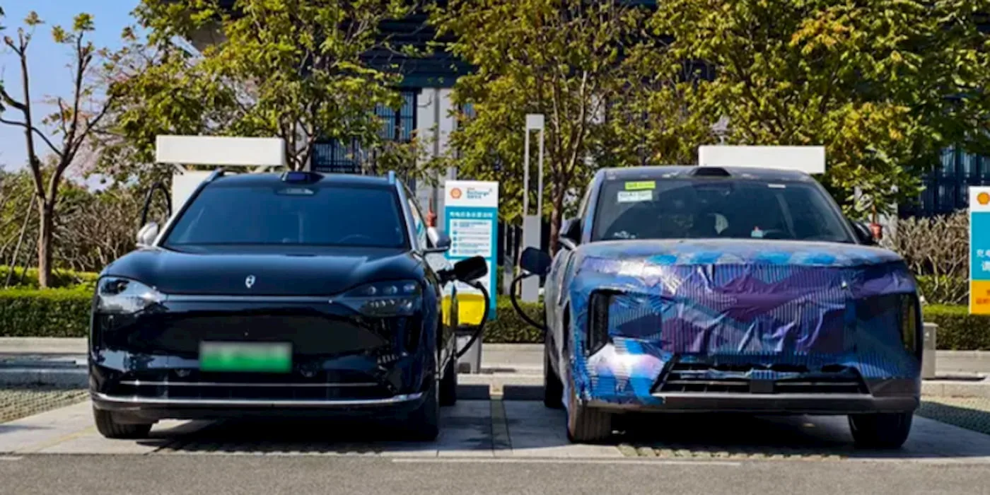 BYD Tesla Australië verkoop