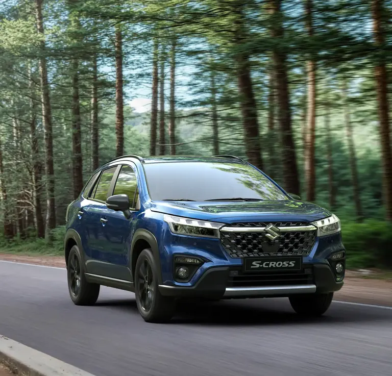 Suzuki Special Edition detail